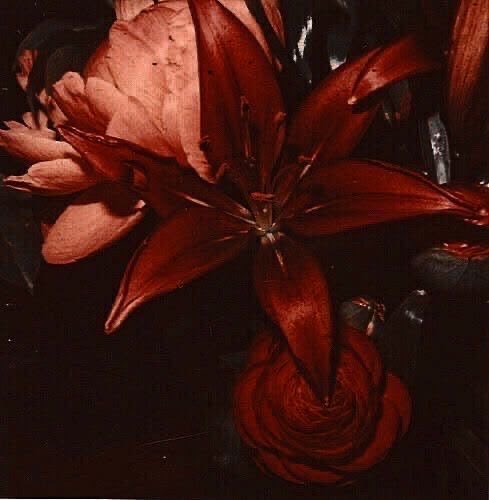 𝓥𝓲𝓲 🖤 tweet media