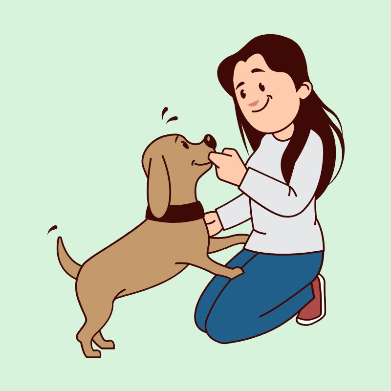 DrawHipo's tweet photo. Make your social media posts more engaging with beautiful #Illustrations. With #DrawHipo, explore a wide array of #PetLoverIllustrations to add a warm, friendly, and inviting touch to your designs. Bring more personality and emotion to every post! 
https://t.co/WTP4y0gPLM https://t.co/390K28TZpd