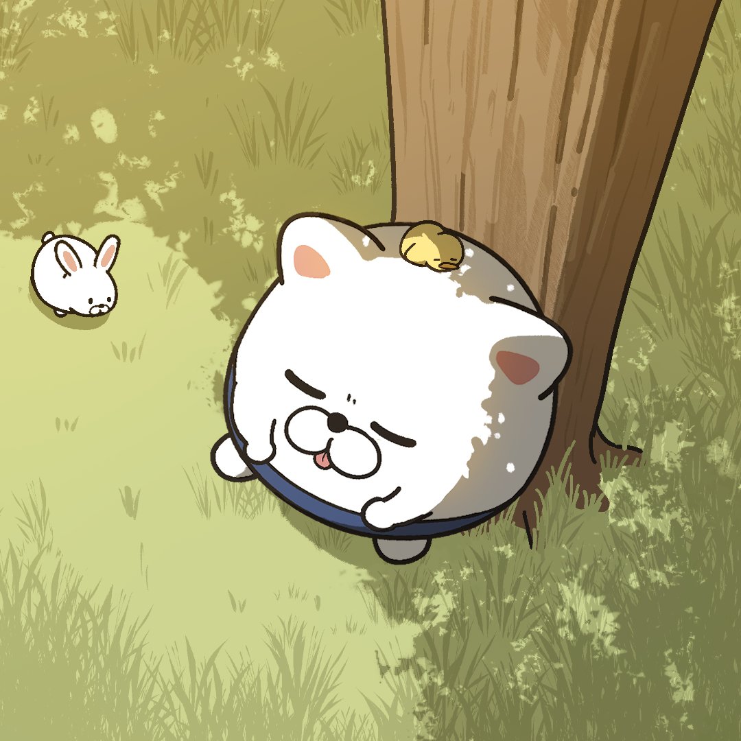 바지냥이 bajinyangi tweet media