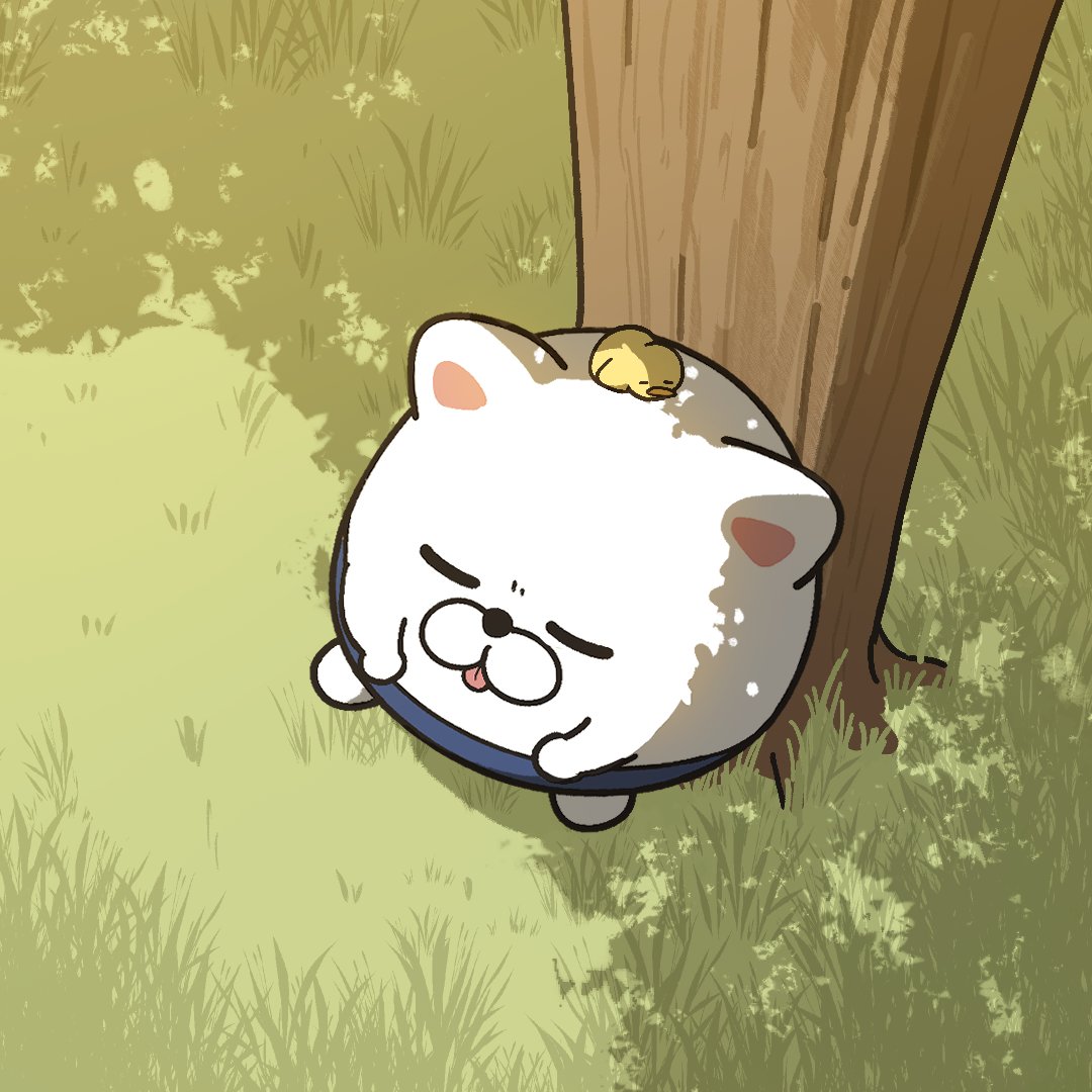바지냥이 bajinyangi tweet media