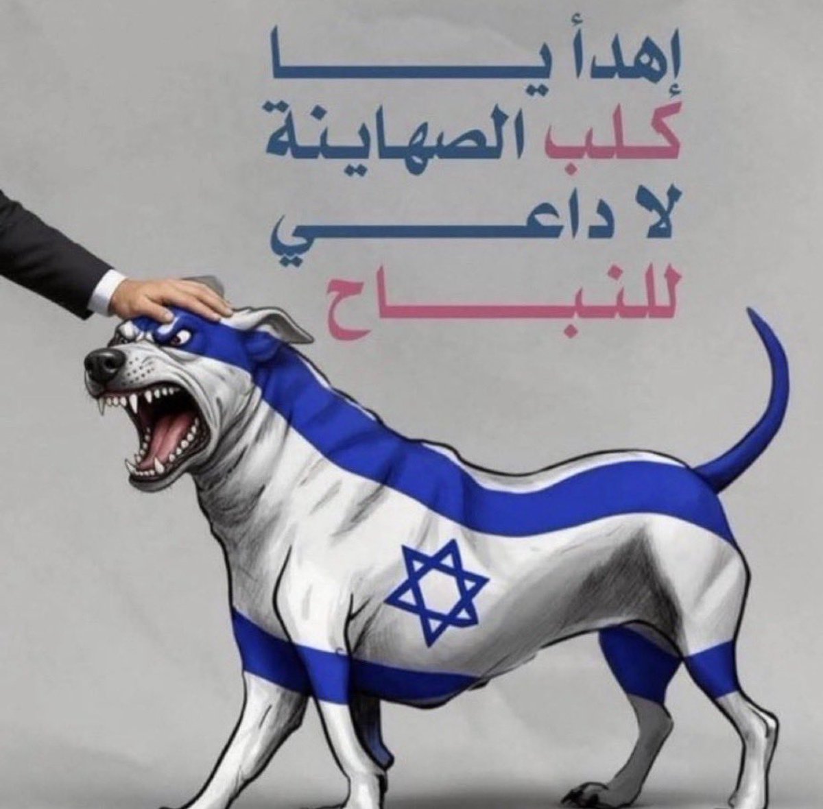 محمد السلطاني tweet media