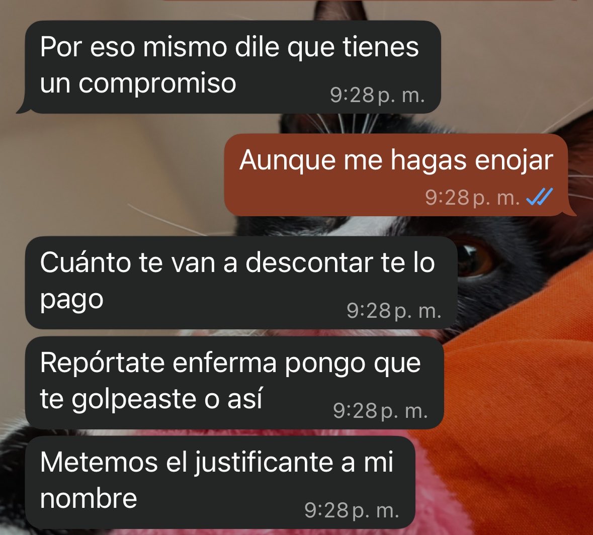 Silsctm's tweet photo. Me invitó a un viaje todo pagado con el , y me ofreció pagarme los días que me ausenté en el hospital para evitar problemas… será este mi momento de ser trophy wife? https://t.co/l9iLdRJbji
