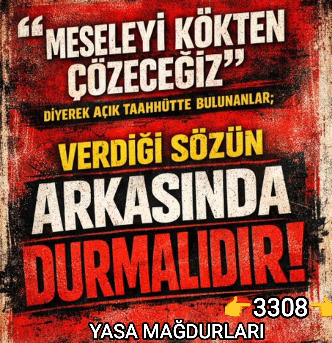 Zihni Karahan tweet media