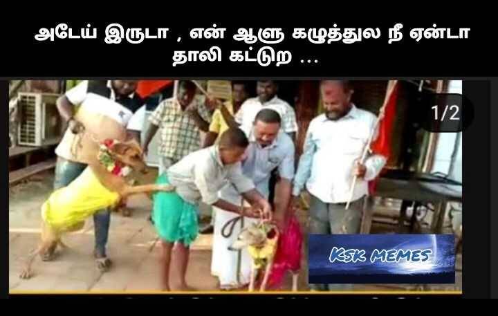 5zal tweet media