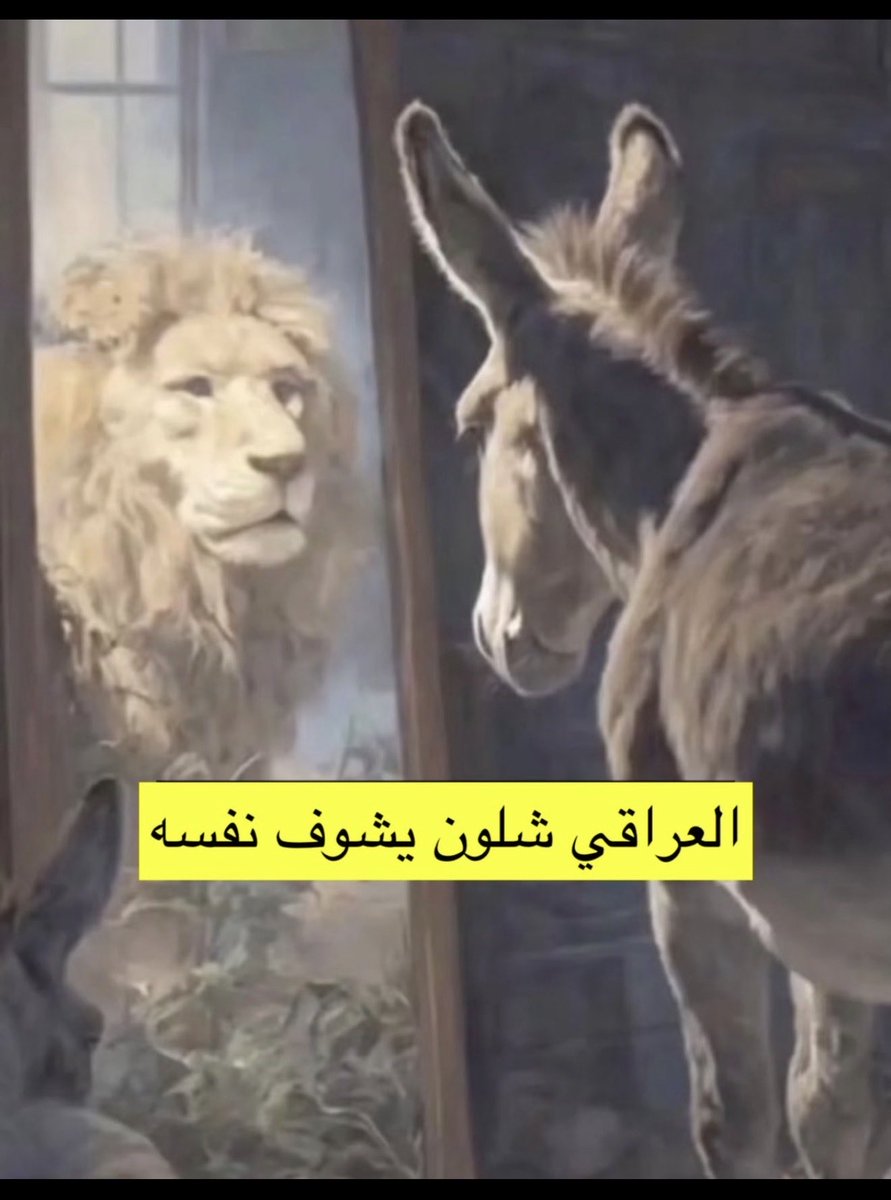 سفستفيشن tweet media