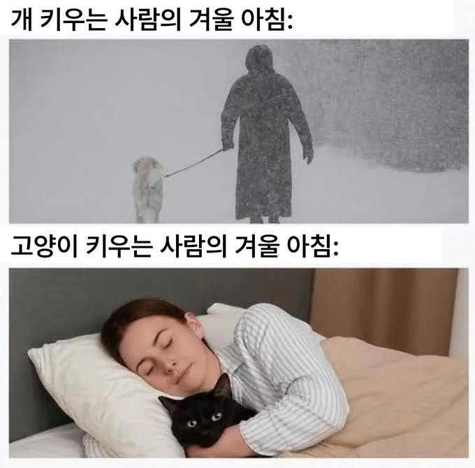 aphoyyo6's tweet photo. 이 짤 개좋아함 즈일로 대입할 수 있음 https://t.co/3NDb3rGhQu