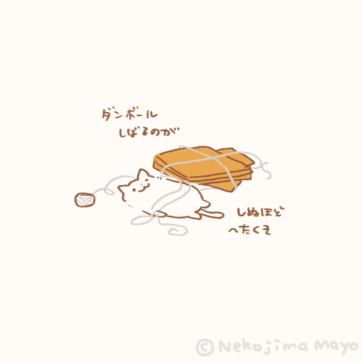 猫島 まよ🐈Nekojima Mayo tweet media