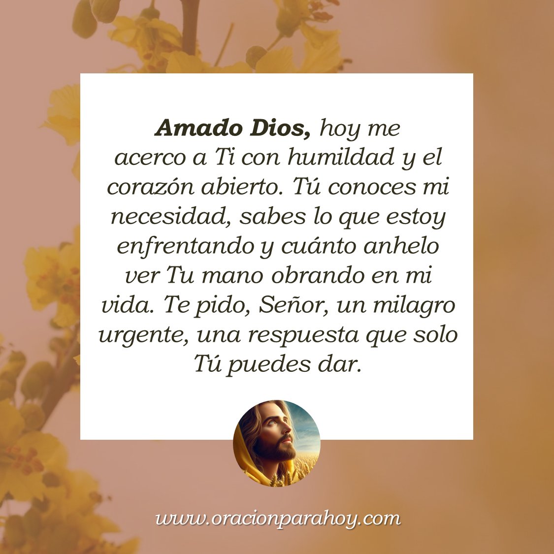Oración para hoy tweet media