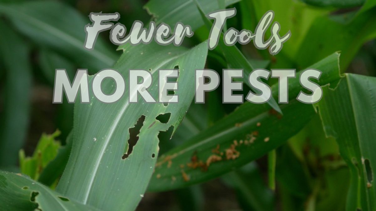 wpha's tweet photo. Climate change is increasing pest and disease pressure across the country. Food producers need solutions, not limitations. #FoodSecurity #Affordability https://t.co/9uMHA3wfk7 https://t.co/mBLZXijaz6