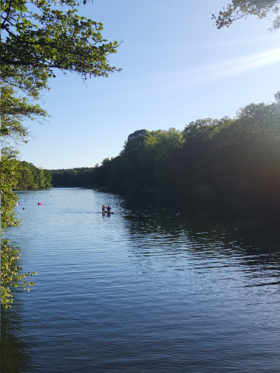 nathjarat's tweet photo. Last Monday around 5:00 PM, we went for a walk at #KrummeLanke. It was 27°C, a moderately warm temperature for Germany, but fantastic for us. Krumme Lanke was the first lake I visited since arriving in Berlin.

Many people were there for #FKK (Freikörperkultur). I had never experienced FKK before and was quite surprised to see it. FKK is a socio-cultural tradition of social nudity in #Berlin and Germany. In contrast, public nudity is not allowed in Thailand and can result in a fine of 500 Thai Baht (about €14).

Berlin boasts abundant green spaces, with vast forests and lakes surrounding the city. I even spotted two squirrels in the trees 🌳. The nature here is simply perfect.

#เบอร์ลิน #เยอรมนี