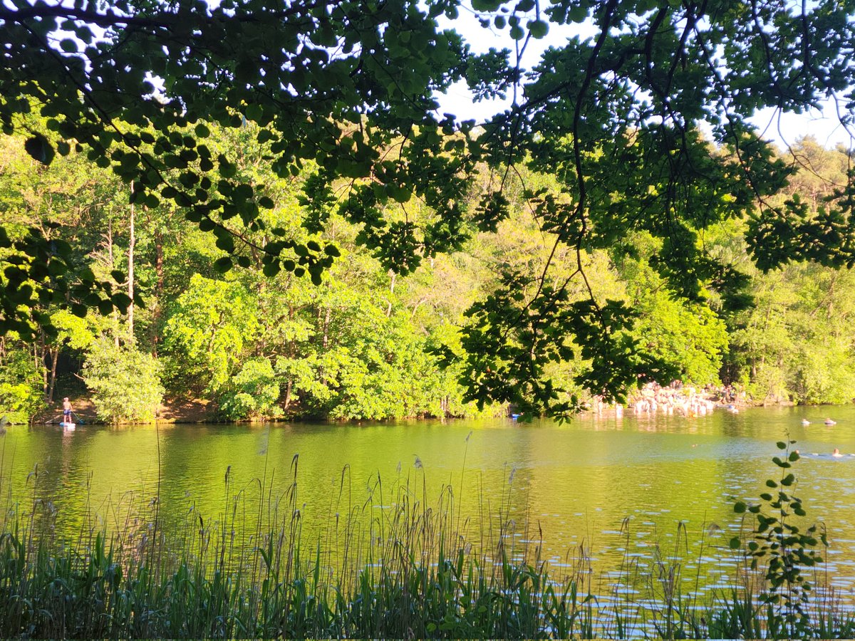 nathjarat's tweet photo. Last Monday around 5:00 PM, we went for a walk at #KrummeLanke. It was 27°C, a moderately warm temperature for Germany, but fantastic for us. Krumme Lanke was the first lake I visited since arriving in Berlin.

Many people were there for #FKK (Freikörperkultur). I had never experienced FKK before and was quite surprised to see it. FKK is a socio-cultural tradition of social nudity in #Berlin and Germany. In contrast, public nudity is not allowed in Thailand and can result in a fine of 500 Thai Baht (about €14).

Berlin boasts abundant green spaces, with vast forests and lakes surrounding the city. I even spotted two squirrels in the trees 🌳. The nature here is simply perfect.

#เบอร์ลิน #เยอรมนี