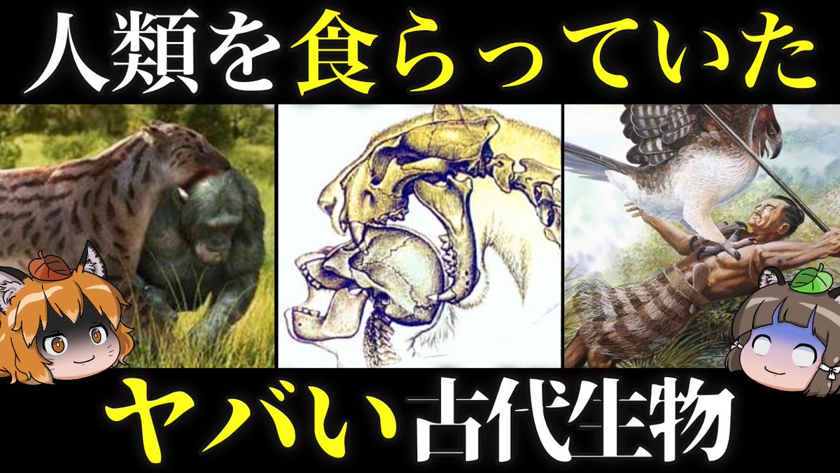 ろう🦊🦝へんないきものチャンネル tweet media