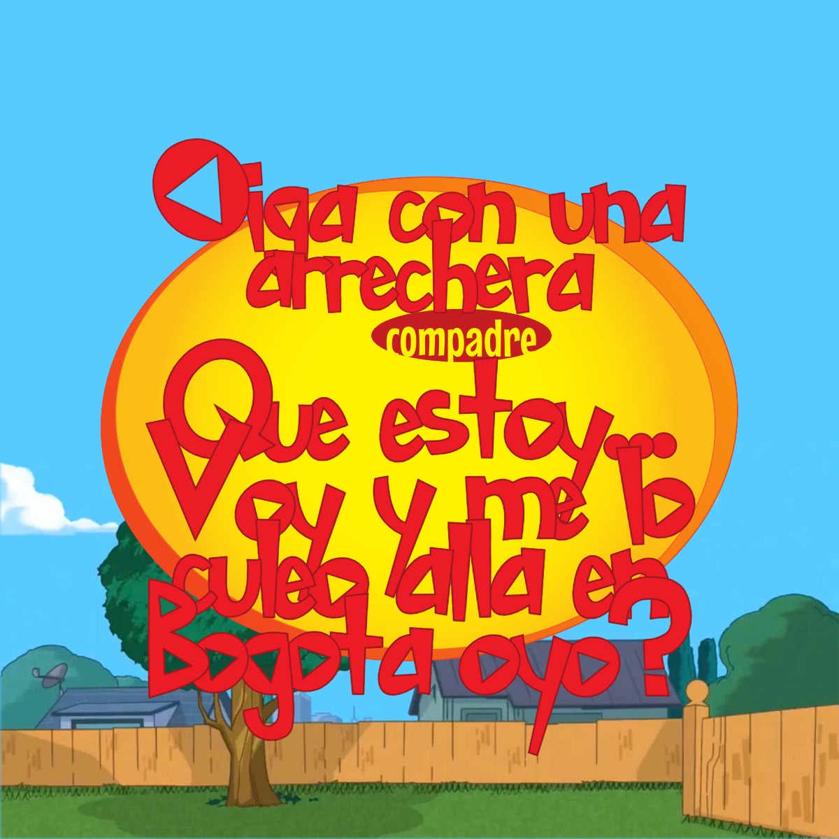 Chayzelle (Campeón ⭐x11) tweet media