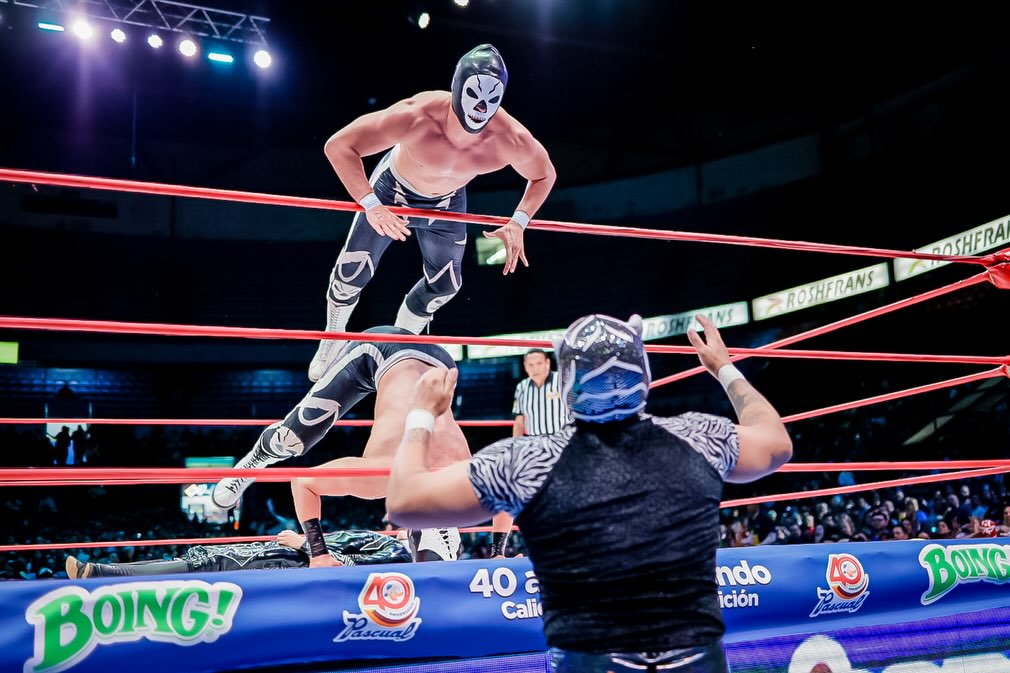 cmll_mx's tweet photo. El duelo de Dinastías en La Catedral de la Lucha Libre tuvo un veredicto claro. Calavera Jr. I y Calavera Jr. II fueron superiores ante Hijo del Pantera y Pantera Jr. y se alzaron como los ganadores del encuentro.

📲 Revive lo sucedido en el  exclusi... https://t.co/gESO99Gb75