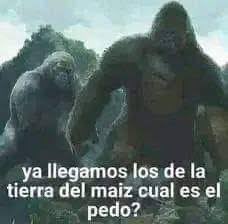 Grones de mierda tweet media