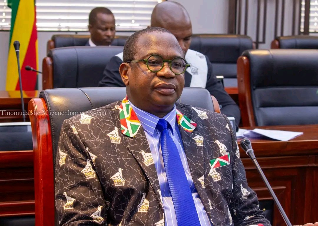 Hon Prof Mthuli Ncube tweet media