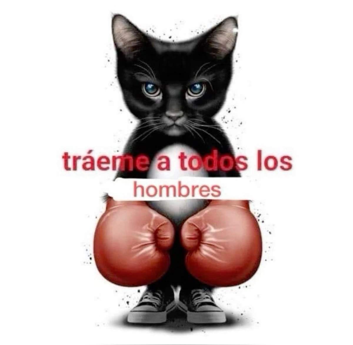 ivyy tweet media