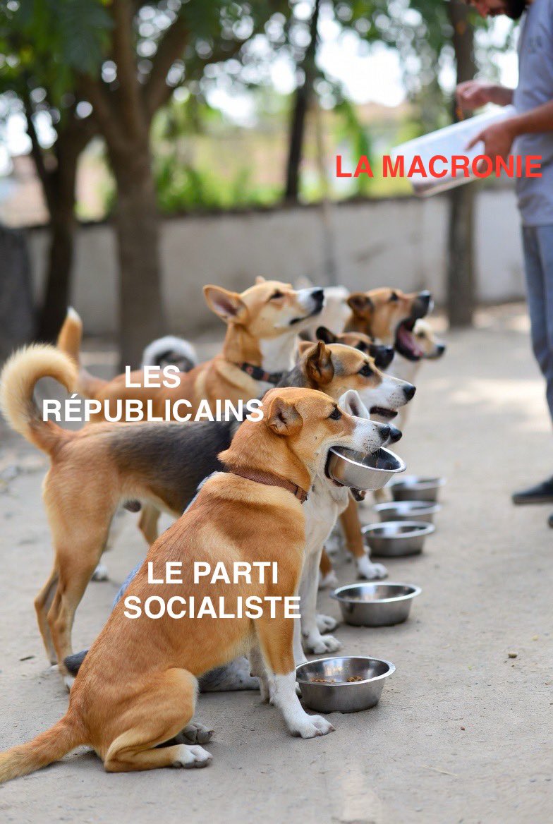 lou2pascal = lou3pascal tweet media