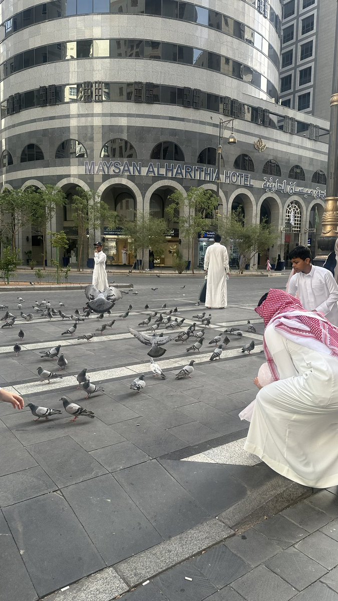 ghaliazi's tweet photo. كل عام وانتو بخير 🐑🤍 https://t.co/RDryvO40vl