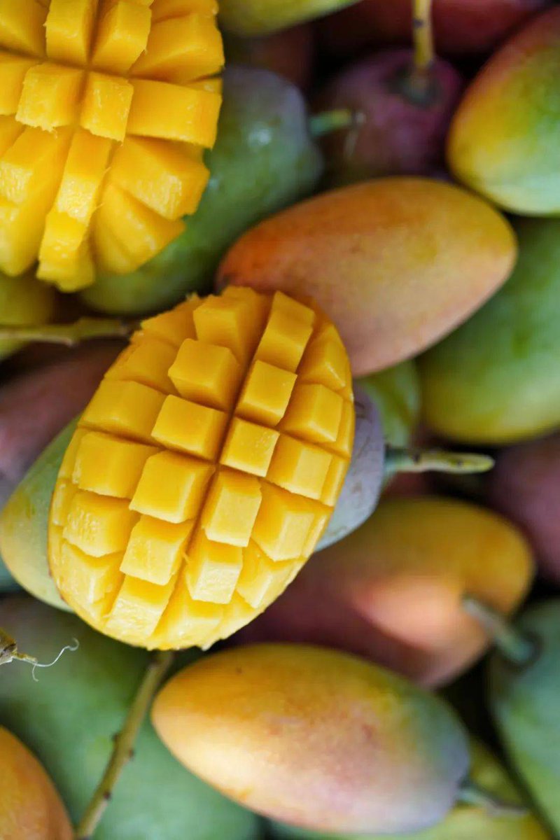 Reynaud131044's tweet photo. Found the perfect midday snack! Sharing my favorite crispy mango gummies with you all — sweet, chewy, and totally satisfying.  Who’s tried these before https://t.co/vSCGRwiId3
