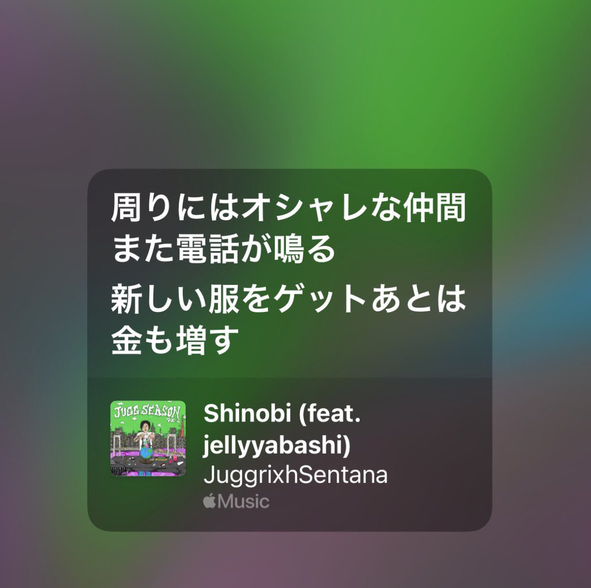 毎日マジキマリ tweet media