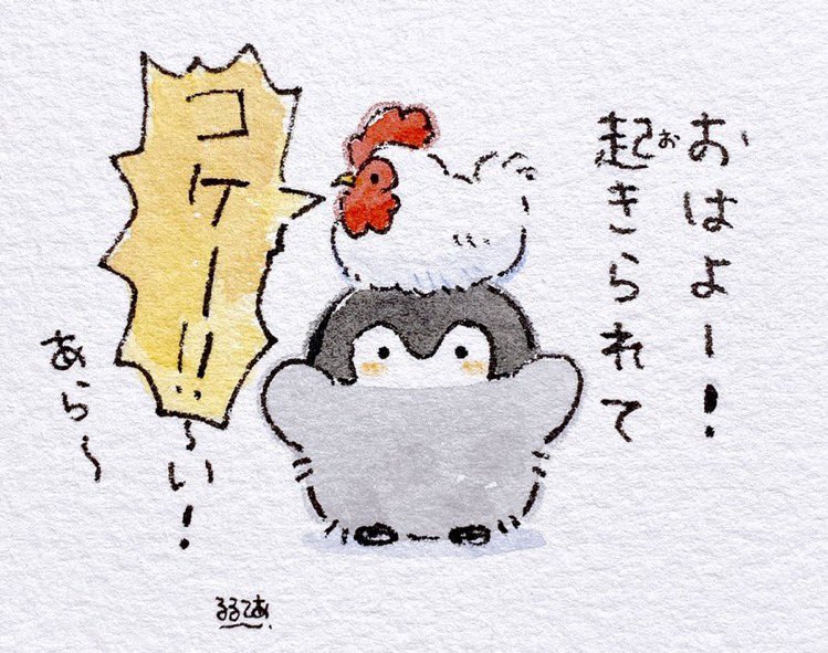 藤桃花 tweet media