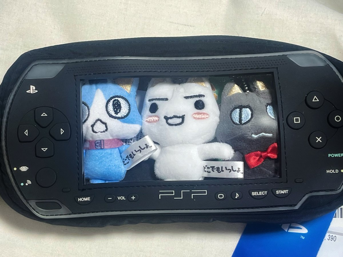 クマコ tweet media