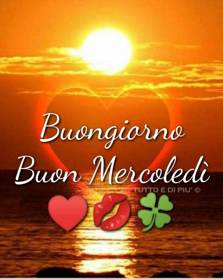 Graziella tweet media