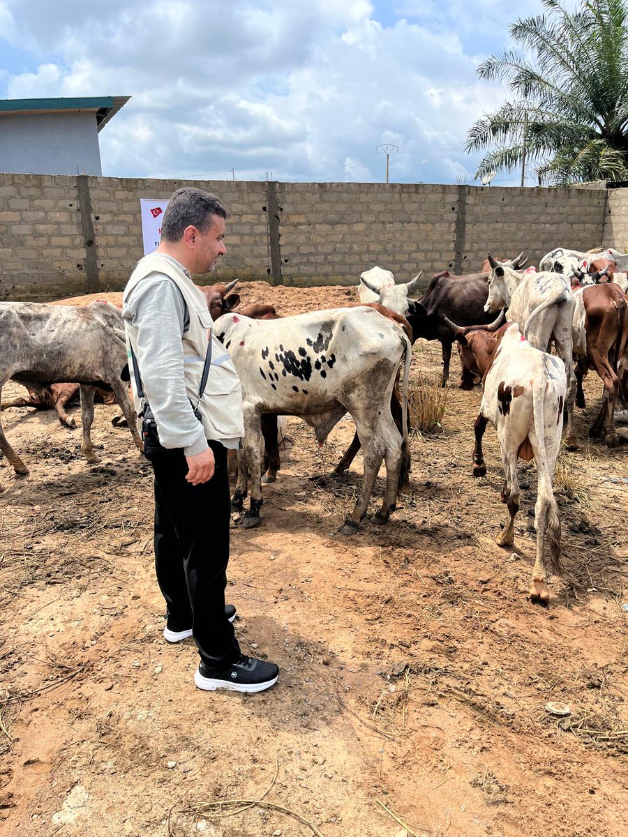 bitlisihh's tweet photo. 🐑 Kurban Kardeşliğe Çağrı 

🔴 Fildişi Sahili'nde bulunan Abidjan kentinde satın almış olduğumuz kurban emanetlerinizin kontrol ve denetimlerini gerçekleştiriyor, vekâletlerinizi yerine getiriyoruz. Allah cc yapmış olduğunuz kurban bağışlarını kabul eylesin. https://t.co/KkBa7mYPFE