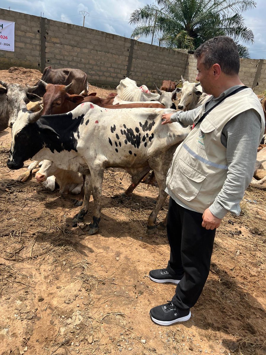 bitlisihh's tweet photo. 🐑 Kurban Kardeşliğe Çağrı 

🔴 Fildişi Sahili'nde bulunan Abidjan kentinde satın almış olduğumuz kurban emanetlerinizin kontrol ve denetimlerini gerçekleştiriyor, vekâletlerinizi yerine getiriyoruz. Allah cc yapmış olduğunuz kurban bağışlarını kabul eylesin. https://t.co/KkBa7mYPFE