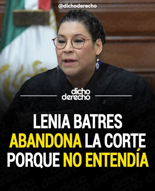 constanza luna tweet media