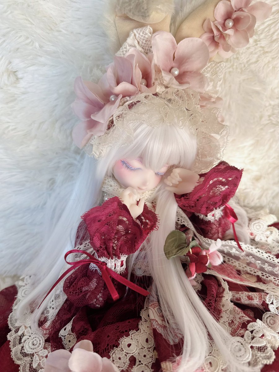 Ri56712's tweet photo. ちょい定番化？しているドアップ❤️

 #くろまめっ子
 #kome瞳
  #なにぬねこもの

 https://t.co/BbiXDC5M1o https://t.co/GVg8U6cRJ8