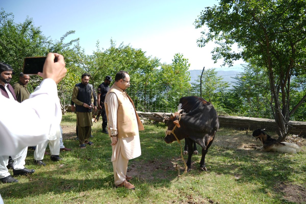 Sardar Tanveer Ilyas Khan tweet media