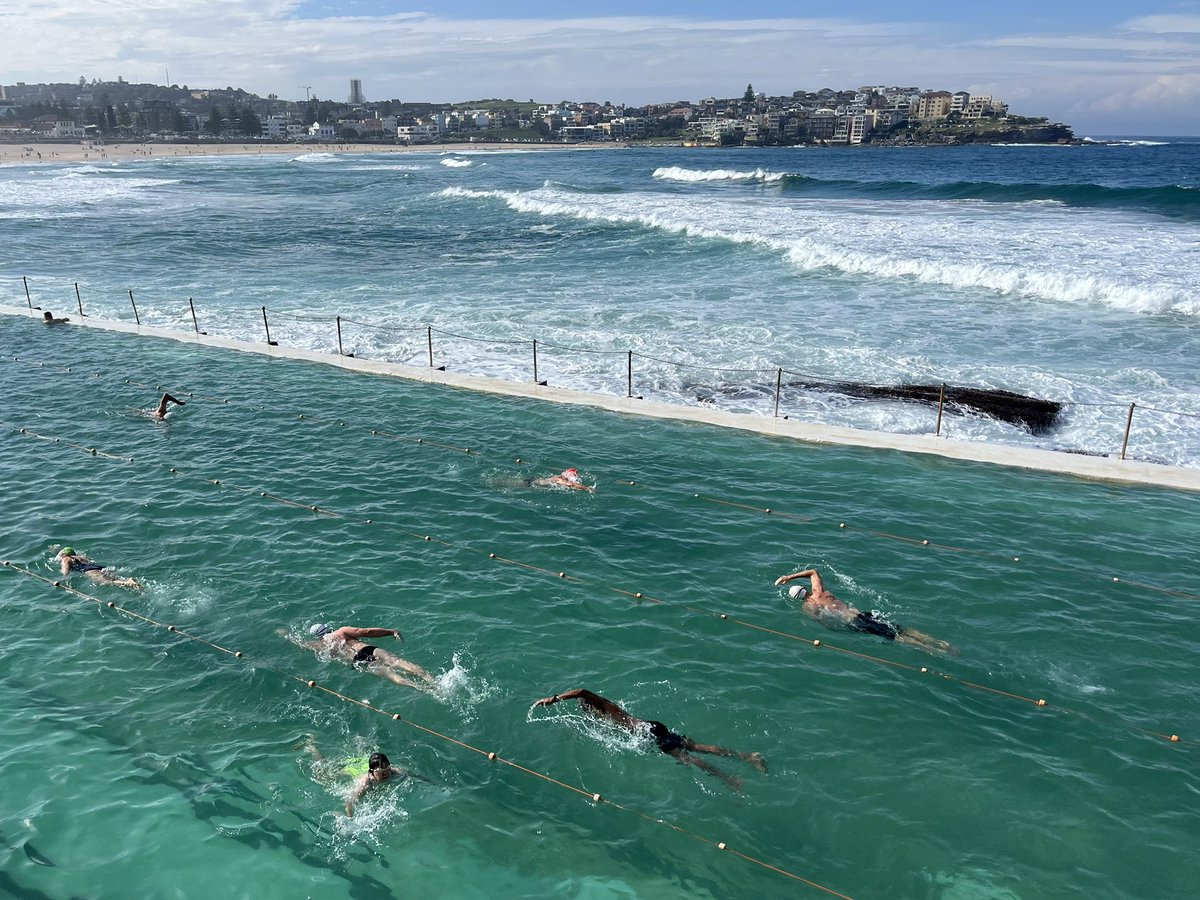 robbosal's tweet photo. Wednesday: Lunchtime low tide. Add some sun &amp; no more lane to myself. Lazy 1.6k #bondilaps https://t.co/XDSVXMOPg4