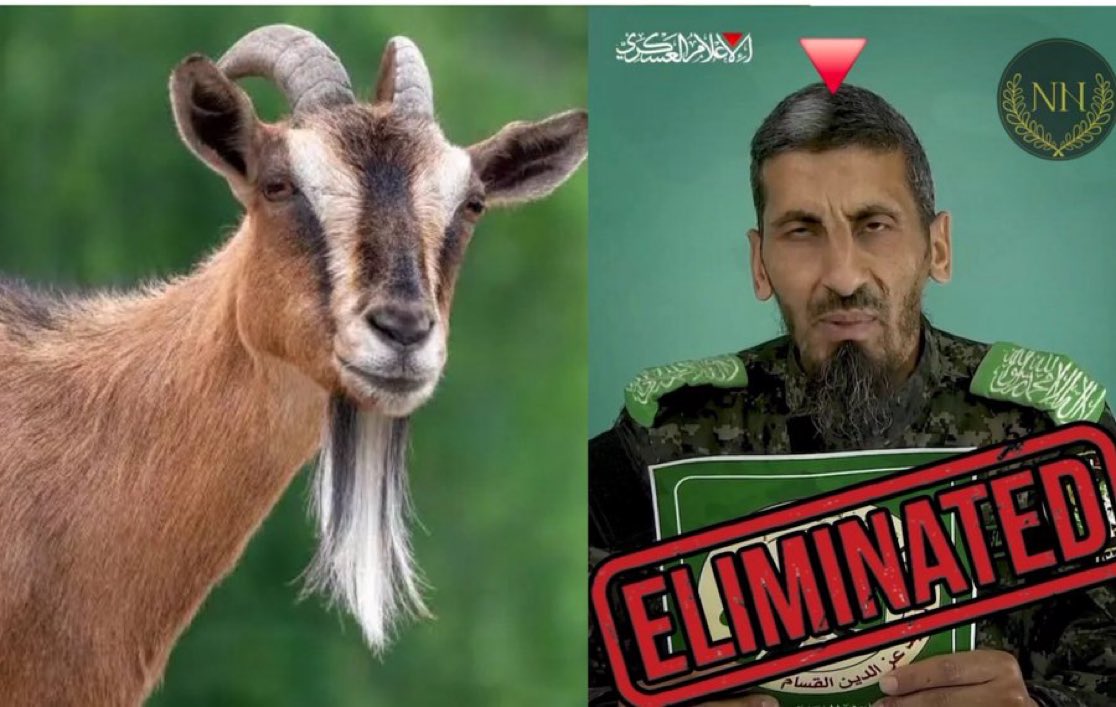 Shlomi Binder 🇮🇱 tweet media
