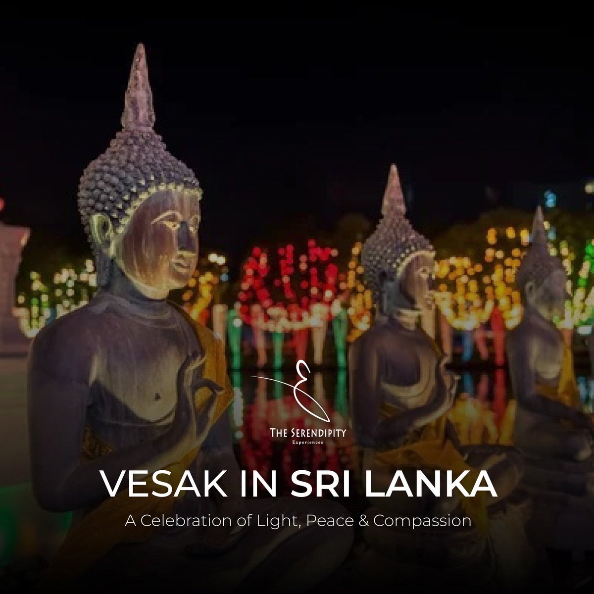 amanthi4's tweet photo. Wishing everyone around the world a peaceful and blessed Vesak. 

May this sacred day of compassion, wisdom, and enlightenment bring peace, happiness, and harmony to all. ☸️✨

#Buddhism #Vesak2026 #srilanka https://t.co/YHC1kwrEne
