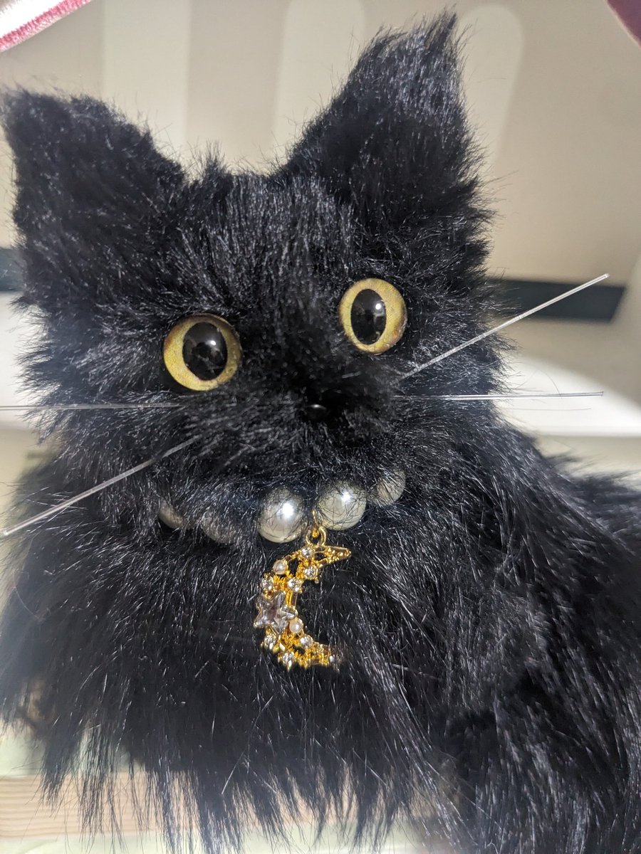 くろねこ