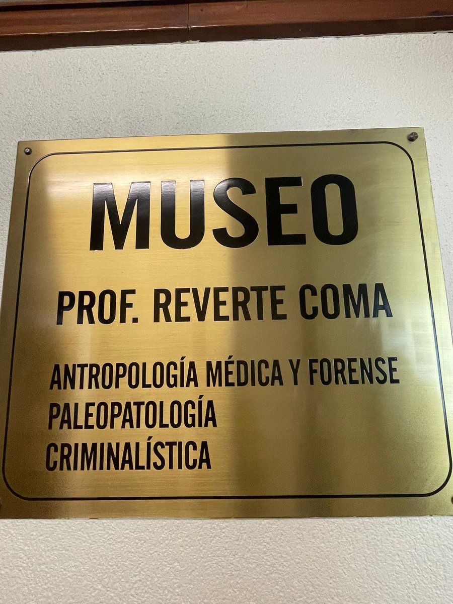 CurioNatural's tweet photo. Animales ponzoñosos, plantas tóxicas. En el Museo Reverte Coma en la Facultad de Medicina, Universidad Complutense @ComplutenseDe https://t.co/ttVUt7S7X7