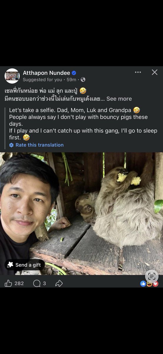 maccaa666's tweet photo. Now is your chance to load up on while $flash is on sale…. Check the zoo posts, the same zookeeper/photographer that made Moodeng famous is the same guy that is looking after little $flash and his family! It’s only a matter of time before $flash steams to a new ATH and into the millions. Buy a bag or top up while you have the chance sub 100k and you will be glad you did