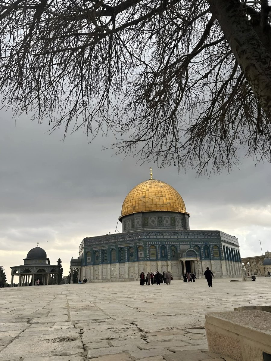 // À _S _Ś_ į // 𓂆 🇵🇸𓂆 tweet media