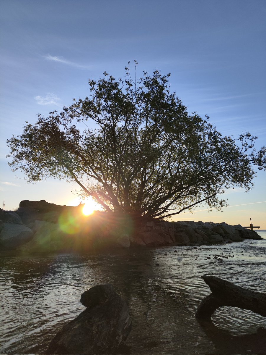 kamilcesaro1's tweet photo. How wondrously the celestial rays pierce through the dense foliage, illuminating the rugged stones and whispering of nature’s eternal, unspoken majesty.
Beside the gentle lapping of the tide, a profound stillness descends, inviting the weary soul to find solace in this harmony. https://t.co/qoKE8DssOe