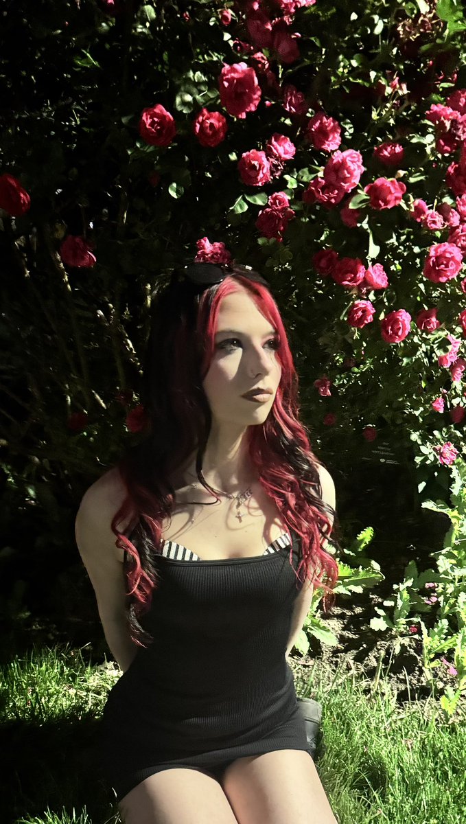 urfavdevil3333's tweet photo. 🌹🖤 https://t.co/Tali30gqVi