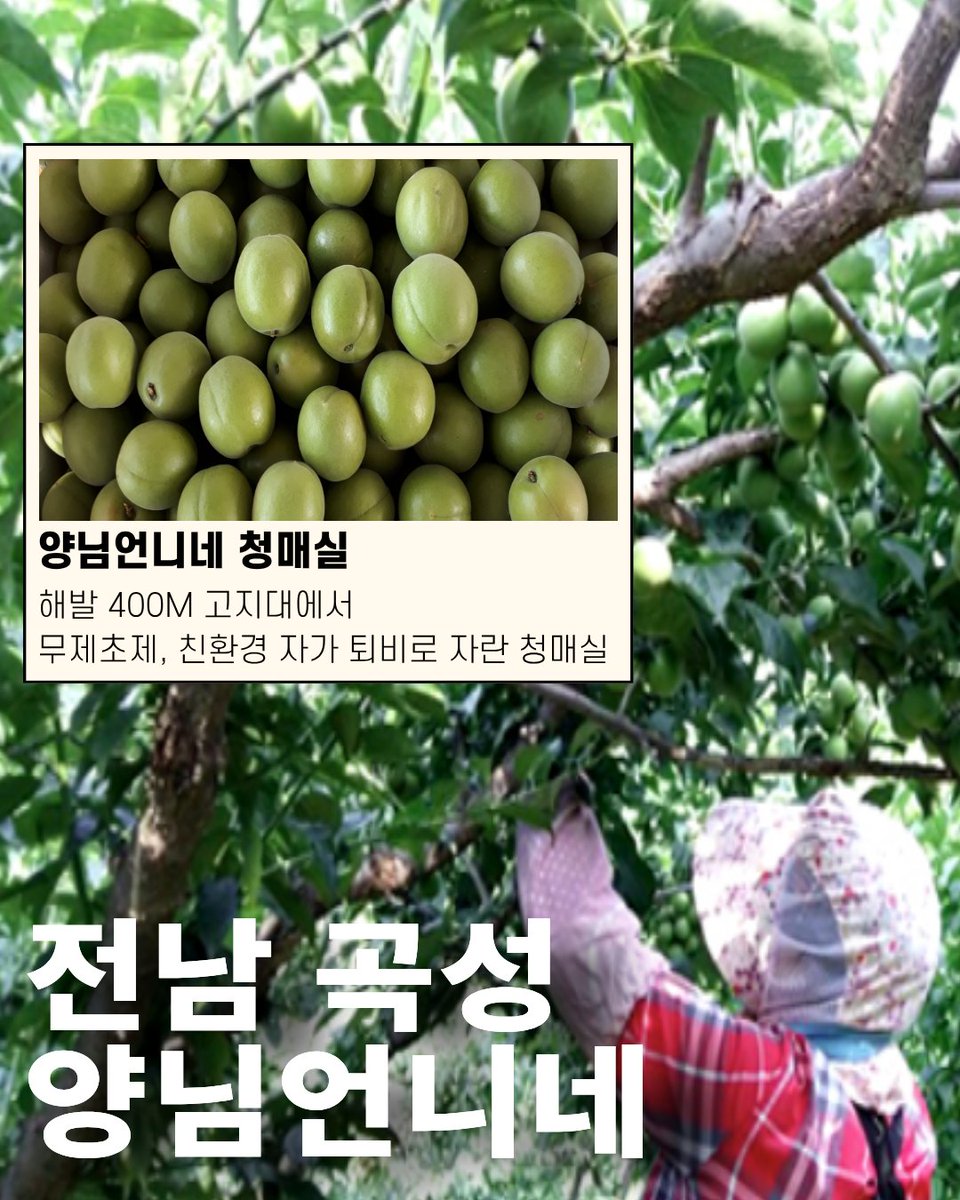 언니네텃밭 tweet media