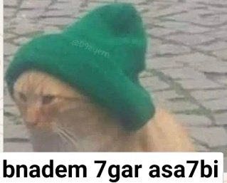 bi3lma2 tweet media