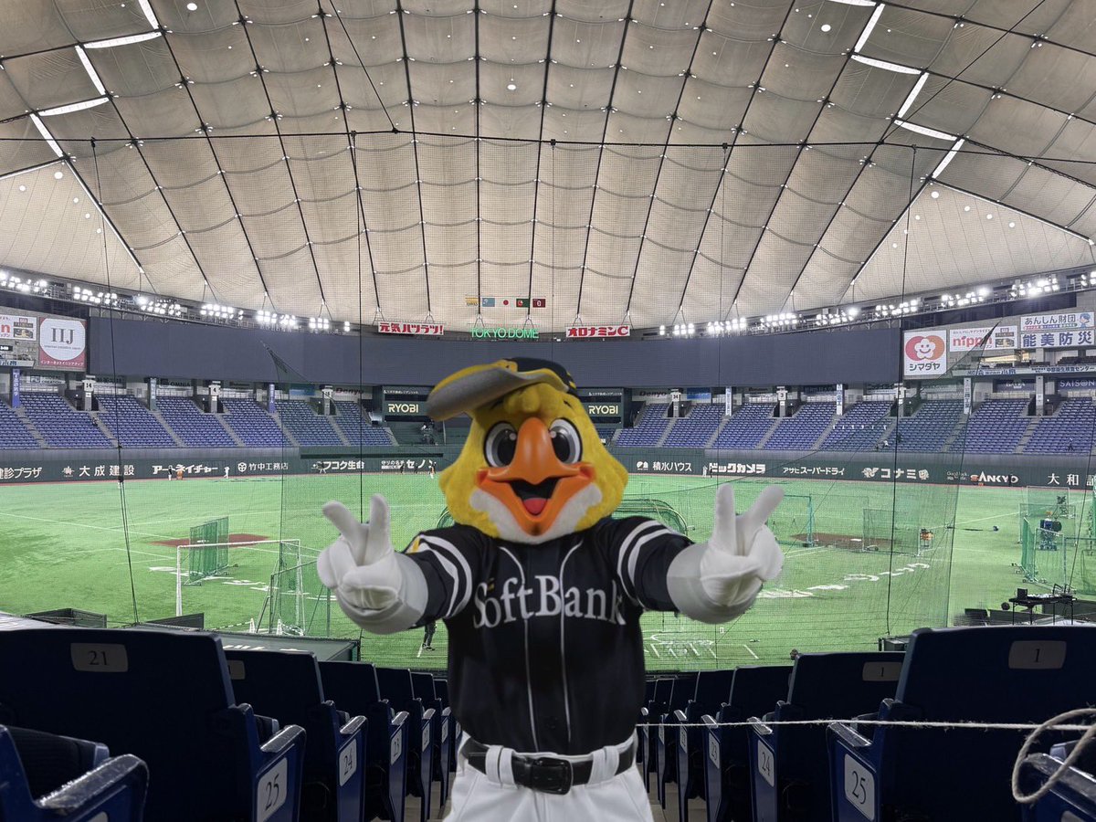 ハリーホーク(公式) tweet media