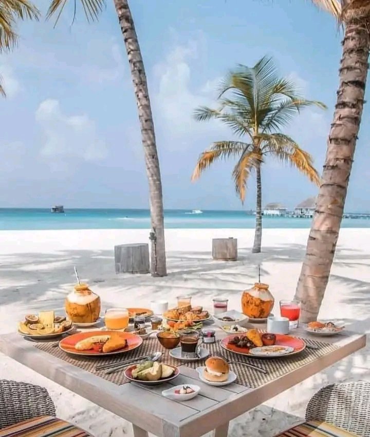 Travel Porn tweet media