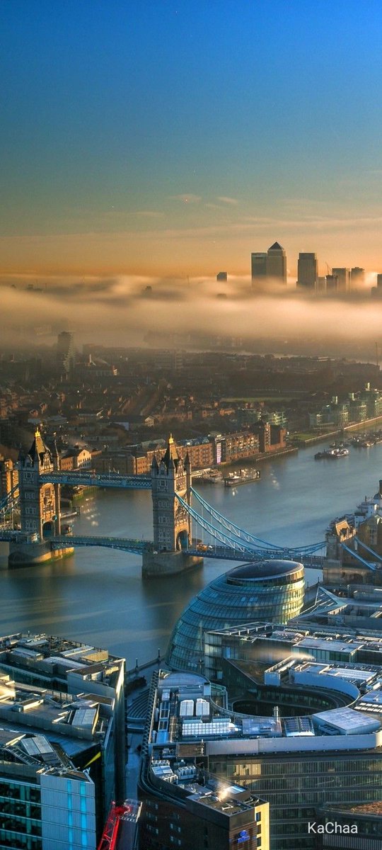 Magical Views tweet media