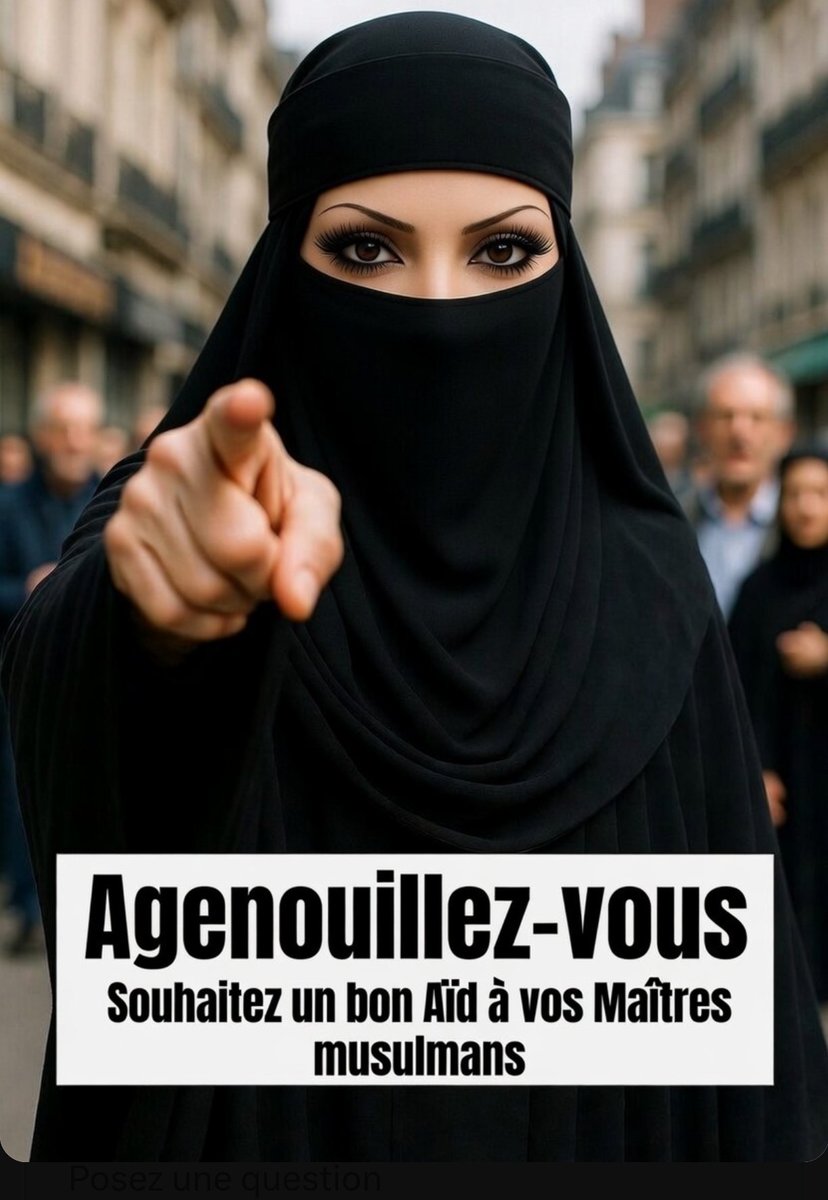 dhimmi blanc tweet media