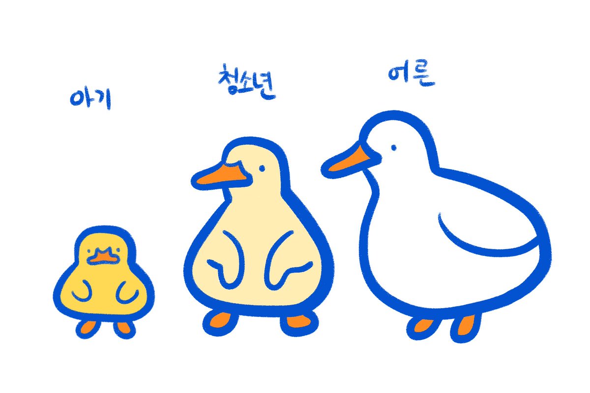오리연못 tweet media