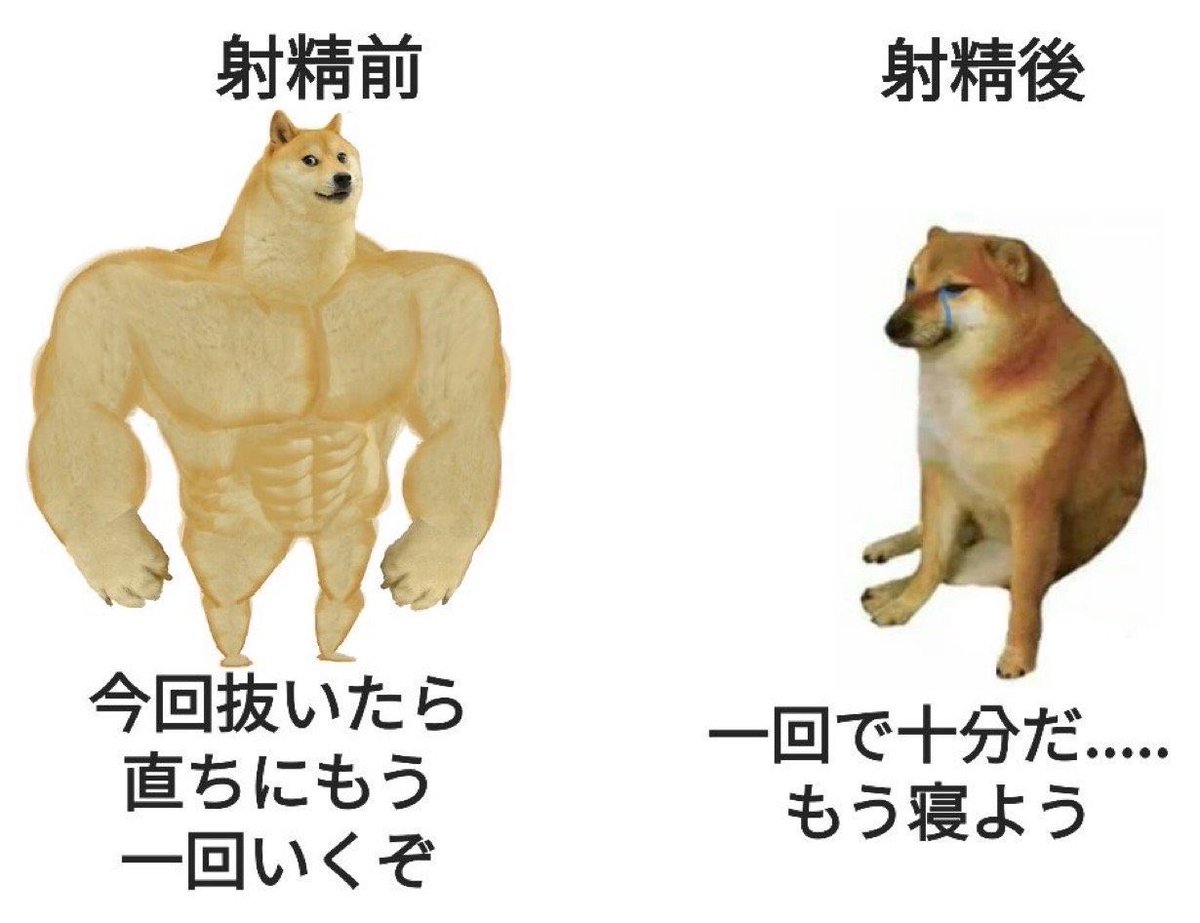 おぱこ tweet media